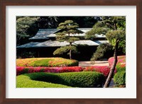 Azaleas at the Imperial Palace East Gardens, Tokyo, Japan Fine Art Print
