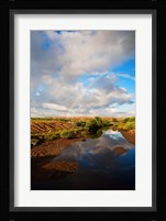 Bali, Indonesia Suwung Waste dump, Serangan island Fine Art Print