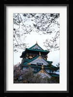 Osaka Castle and Cherry Blossom Trees, Osaka, Japan Fine Art Print