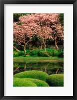 Reflecting Pond, Imperial Palace East Gardens, Tokyo, Japan Fine Art Print