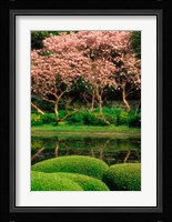 Reflecting Pond, Imperial Palace East Gardens, Tokyo, Japan Fine Art Print