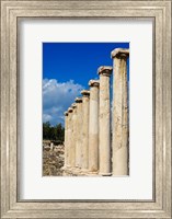 Israel, Bet She'an National Park, Columns Fine Art Print