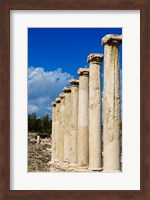 Israel, Bet She'an National Park, Columns Fine Art Print