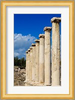 Israel, Bet She'an National Park, Columns Fine Art Print