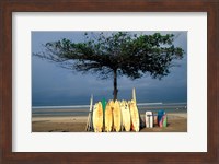 Surfboards Lean Against Lone Tree on Beach in Kuta, Bali, Indonesia Fine Art Print