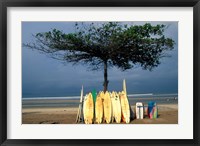 Surfboards Lean Against Lone Tree on Beach in Kuta, Bali, Indonesia Fine Art Print