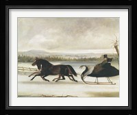 Smart Turn Out Fine Art Print