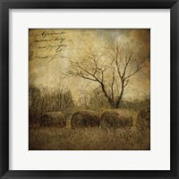 Hayrollers Fine Art Print