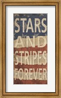 Stars and Stripes Forever Fine Art Print