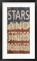 Stars and Stripes Forever Fine Art Print