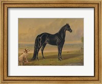 America's Renowned Stallions, c. 1876 I Fine Art Print