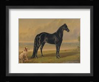 America's Renowned Stallions, c. 1876 I Fine Art Print