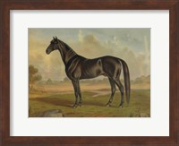 America's Renowned Stallions, c. 1876 II Fine Art Print