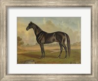 America's Renowned Stallions, c. 1876 II Fine Art Print