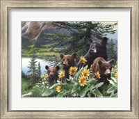 Basking in the Balsams Fine Art Print