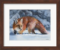 Fox at the Pines Fine Art Print