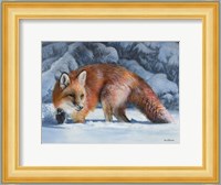 Fox at the Pines Fine Art Print