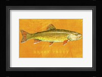 Brook Trout Framed Print