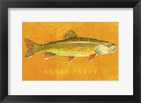 Brook Trout Framed Print