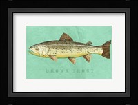 Brown Trout Framed Print