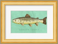 Brown Trout Fine Art Print