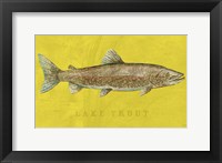 Lake Trout Framed Print