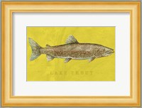 Lake Trout Fine Art Print