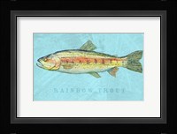 Rainbow Trout Framed Print