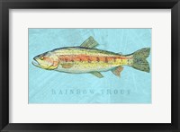 Rainbow Trout Framed Print