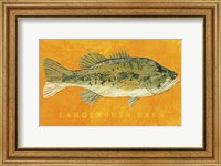 Largemouth Bass Fine Art Print