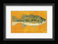Largemouth Bass Fine Art Print
