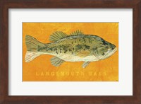 Largemouth Bass Fine Art Print