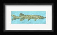 Northern Pike Framed Print