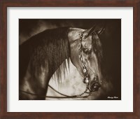 Desert Arabian Fine Art Print