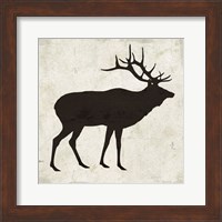 Elk Fine Art Print