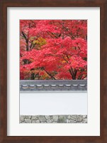 Eikando Temple, Kyoto, Japan Fine Art Print