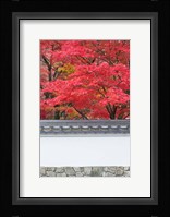 Eikando Temple, Kyoto, Japan Fine Art Print