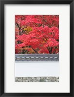 Eikando Temple, Kyoto, Japan Fine Art Print