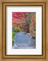 Tenryuji Temple Garden, Sagano, Arashiyama, Kyoto, Japan Fine Art Print
