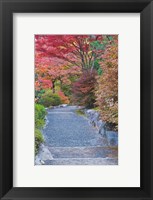 Tenryuji Temple Garden, Sagano, Arashiyama, Kyoto, Japan Fine Art Print
