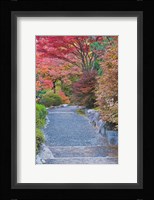 Tenryuji Temple Garden, Sagano, Arashiyama, Kyoto, Japan Fine Art Print