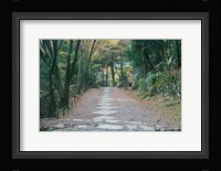 Kozanji Temple, Kyoto, Japan Fine Art Print