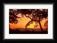 Jojakkoji at Dawn, Arashiyama, Kyoto, Japan Fine Art Print