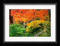 Okochi Sanso, Kyoto, Japan Fine Art Print