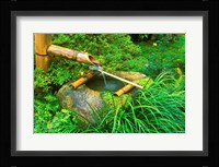Spring for Tea Ceremony, Sanzen-in Temple, Kyoto, Japan Fine Art Print