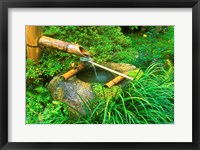 Spring for Tea Ceremony, Sanzen-in Temple, Kyoto, Japan Fine Art Print