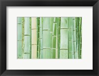 Bambloo Forest, Sagano, Arashiyama, Kyoto, Japan Fine Art Print
