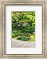 Sennyuji Temple Garden, Kyoto, Japan Fine Art Print