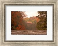 Fall Color around Cable Train Railway, Kyoto, Japan Fine Art Print