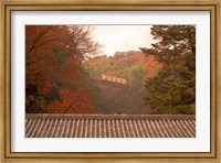 Fall Color around Cable Train Railway, Kyoto, Japan Fine Art Print
